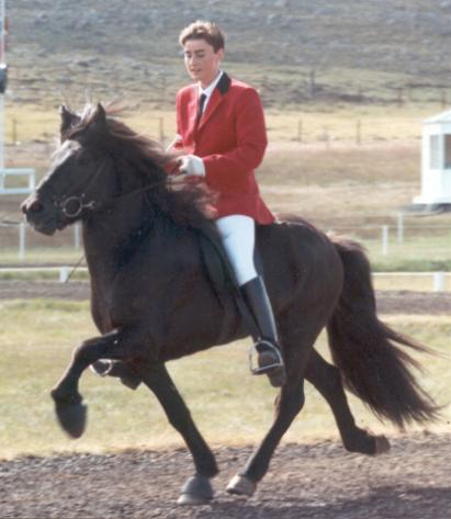 Orri frá Þúfu, 4 år gammel vd LM 1990