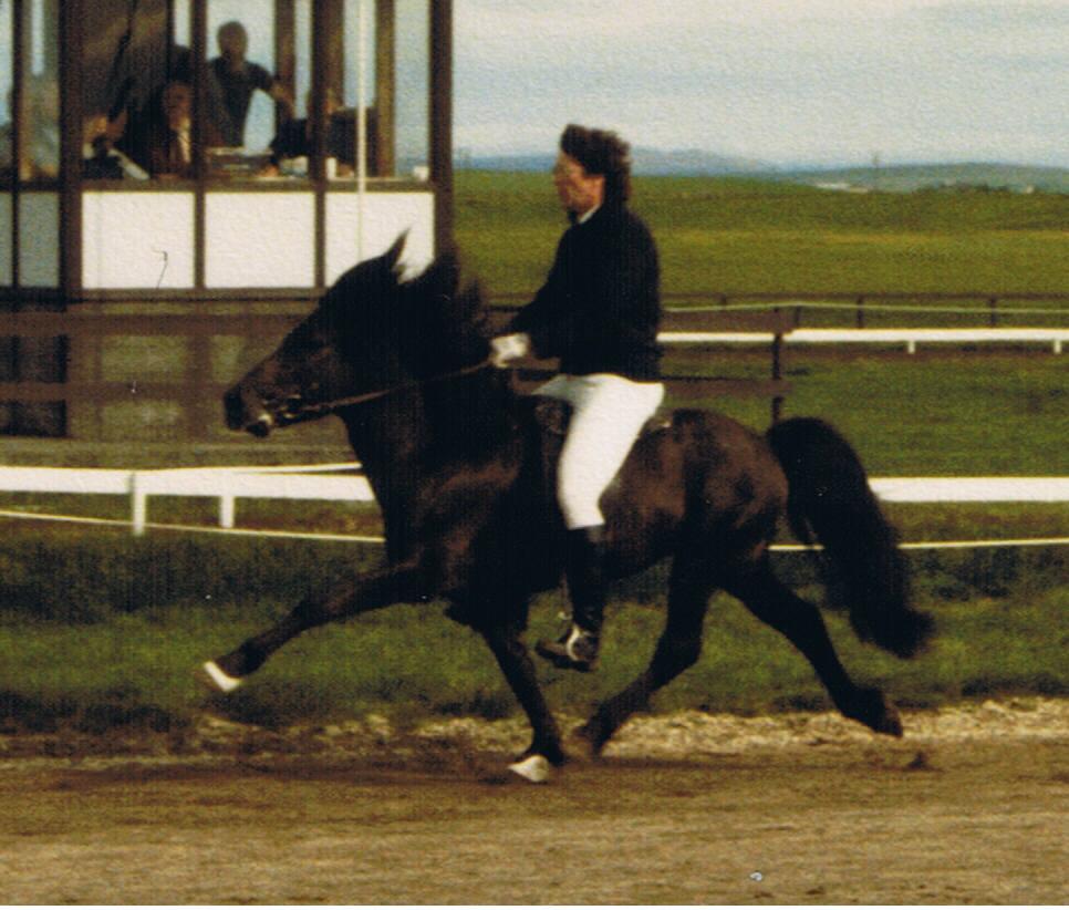 Adam ved Landsmót 1986, redet af Erlingur Sigurðsson