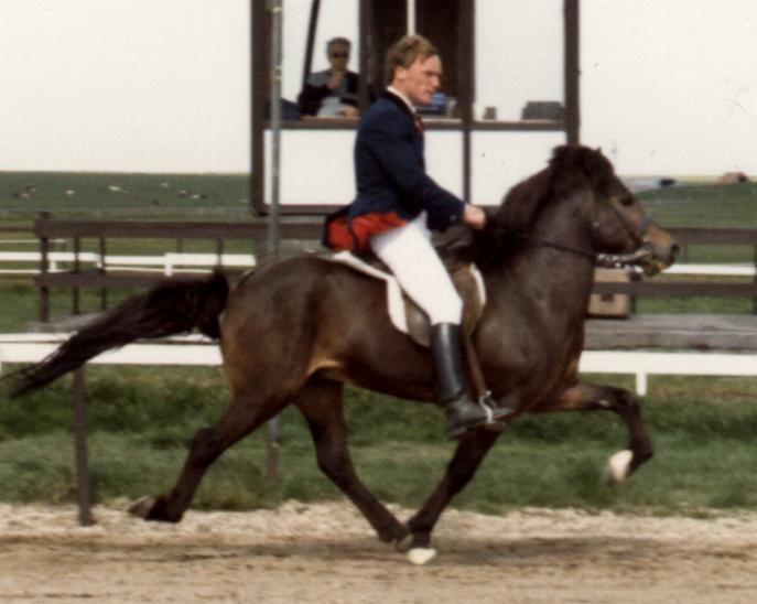 Flosi 966 frá Brunnum ved LM 1986