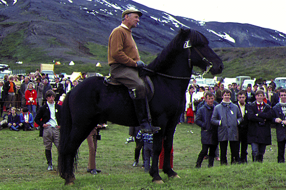 Sörli frá Sauðárkróki ved LM 1970. Billede udlånt fra www.hervar.com