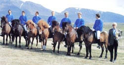 Þokki 1048 frá Garði med afkom ved LM 1990. Þokki er længst til højre.