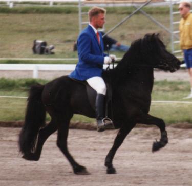 Kjarkur ved Landsmót 1994