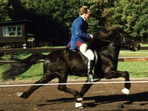 Hlynur fra Søtofte ved Paschampionatet i Tyskland 1987, redet af Einar Öder Magnusson