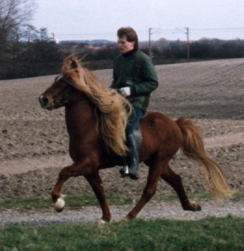 Feykir, træning med Johan R. Skulason forår 1993