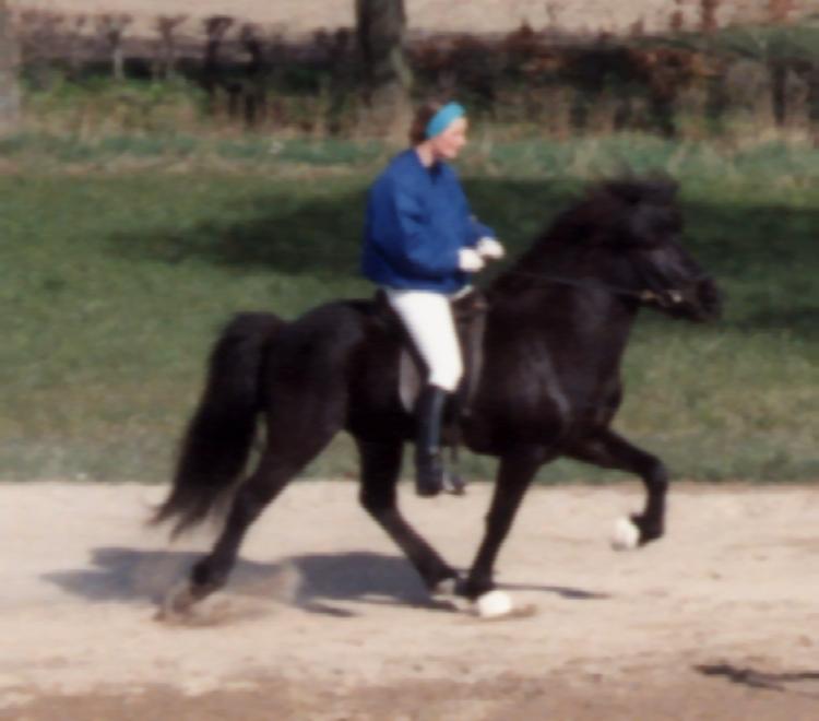 Gustur fra Søtofte, 5 år gammel på Vilhelmsborg 1991.