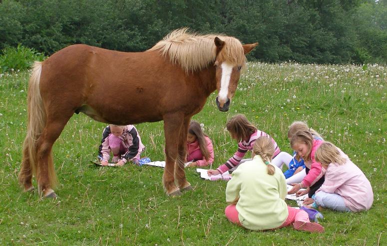 De sidste billeder af Dögg, der blev taget for en måneds tid siden, da Magnus´ skoleklasse var på besøg og bl.a. skulle tegne en hest.
